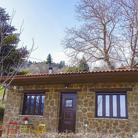 Γήλοφος Villa Ano Trikala Exterior photo
