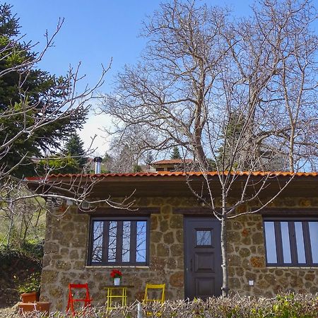 Γήλοφος Villa Ano Trikala Exterior photo